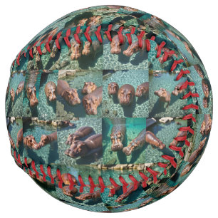 Hippos at 遊: A Pond Paradise ソフトボール
