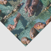 Hippos at 遊: A Pond Paradise 薄葉紙 (詳細)