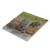Hippotamus、Hippopottamus両生類、Serengeti タイル (側面)
