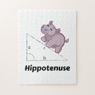 Hippotenuseのおもしろいな数学 ジグソーパズル