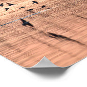 Hirondelle au coucher du soleil ポスター (角)