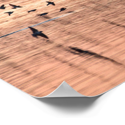 Hirondelle au coucher du soleil ポスター (角)