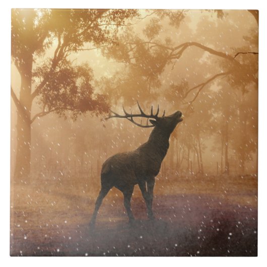 Hirschの美しい自然の景色 タイル (正面)