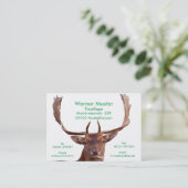 Hirsch-Visitenkarten 名刺 (スタンド正面)