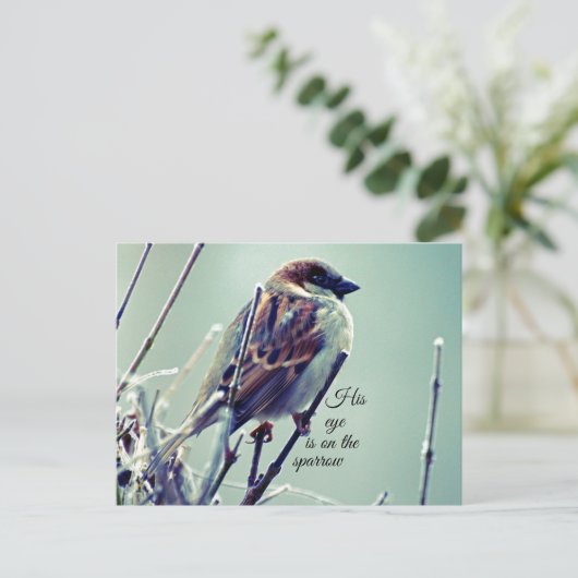 HIs eye on the Sparrow ポストカード (スタンド正面)