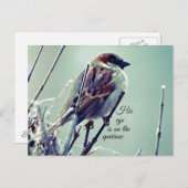 HIs eye on the Sparrow ポストカード (正面/裏面)