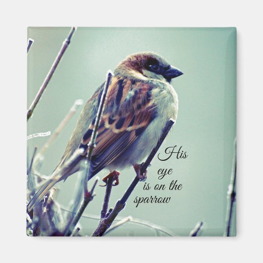 HIs eye on the Sparrow マグネット (正面)