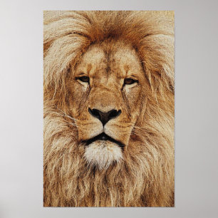 His Royal Highness Print ポスター