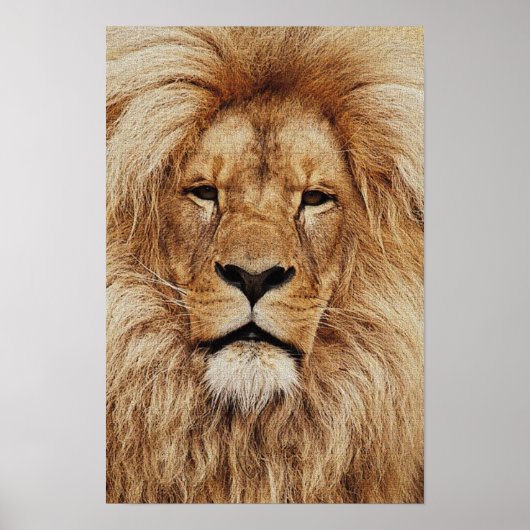His Royal Highness Print ポスター (正面)