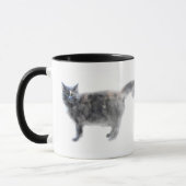 Hissy猫のマグ マグカップ (左)