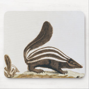 「Histoire Naturelle」からのスカンク、 マウスパッド