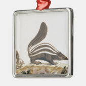 「Histoire Naturelle」からのスカンク、 メタルオーナメント (左)