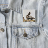 「Histoire Naturelle」からのスカンク、 缶バッジ (インサイチュ)