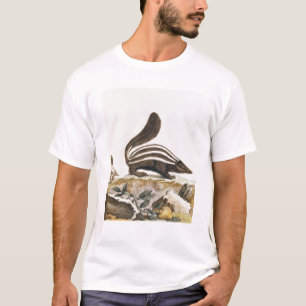 「Histoire Naturelle」からのスカンク、 Tシャツ