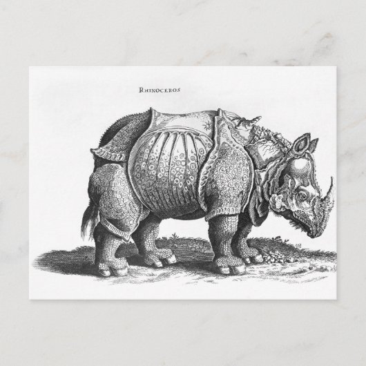「Historia Animaliumからのサイ、 ポストカード (正面)