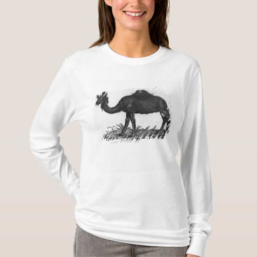 「Historial Animaliumからのヒトコブラクダ、 Tシャツ (正面)