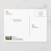 Historic Oark General Storeありがとうはがき ポストカード (裏面)