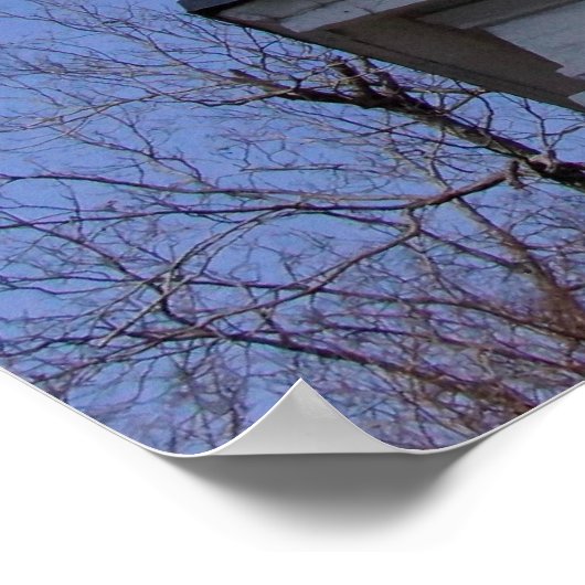 Historic Perspective Charleston, SC ポスター (角)