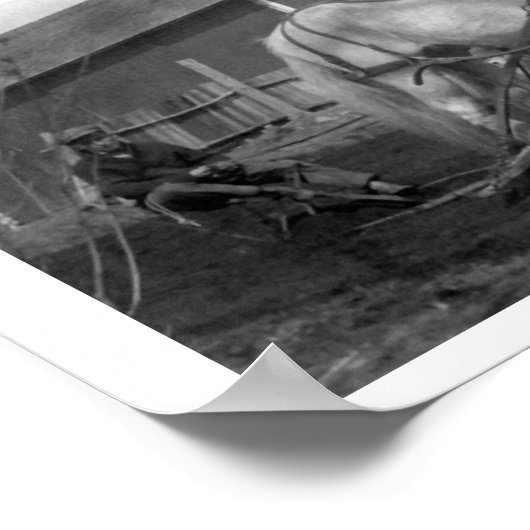 Historical Maple Row Farm photograph ポスター (角)