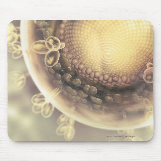 HIVの細胞の構造の閉めて下さい マウスパッド (正面)