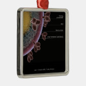 HIVの細胞の構造 メタルオーナメント (右)