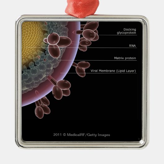 HIVの細胞の構造 メタルオーナメント (正面)