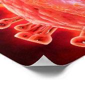 HIVウイルス群1 ポスター (角)