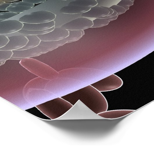 HIV細胞の構造 ポスター (角)