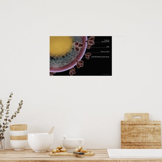 HIV細胞の構造 ポスター (キッチン)