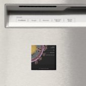 HIV細胞の構造 マグネット (インサイチュ (食洗機))