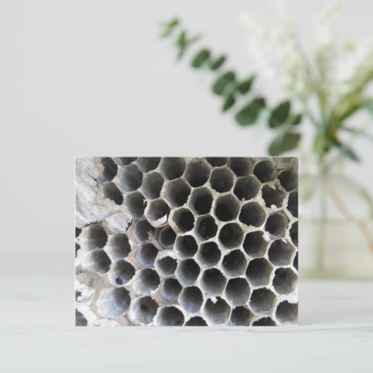 Hive内 ポストカード (スタンド正面)