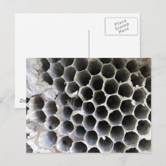 Hive内 ポストカード (正面/裏面)