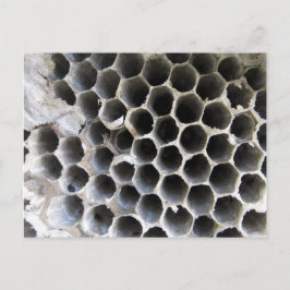 Hive内 ポストカード