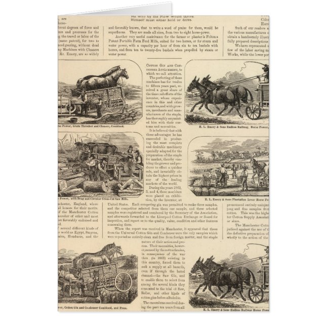 HLエモリーアンドサンズ (正面)