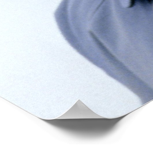 HM Queen Elizabeth II Windsor 1990 ポスター (角)