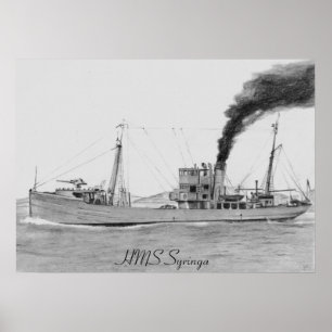 HMSのSyringaポスター ポスター