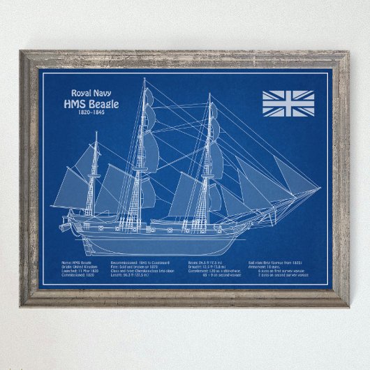 HMS Beagle Tall Ship - Ship Blueprint ABD ポスター