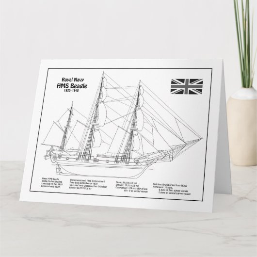 HMS Beagle Tall Ship - Ship Blueprint BD サンキューカード (正面)