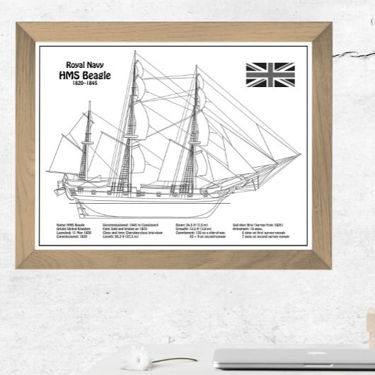 HMS Beagle Tall Ship - Ship Blueprint BD フォトプリント