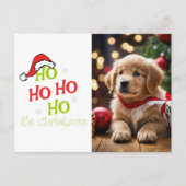 Ho Ho赤い帽子の写真とクリスマス シーズンポストカード (正面)