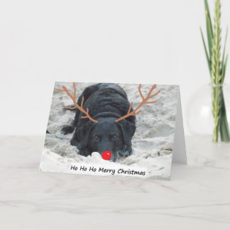 Ho Ho Hoメリークリスマス シーズンカード