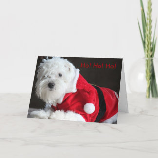 Ho! Ho! Ho! サンタ犬から シーズンカード