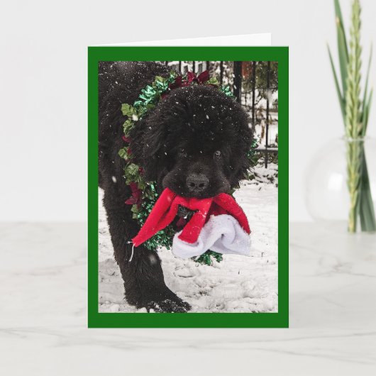 Ho Ho Ho シーズンカード (正面)