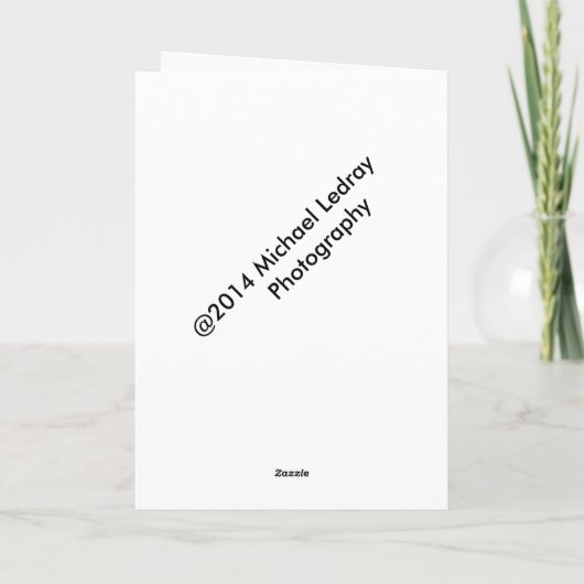 Ho Ho Ho シーズンカード (裏面)