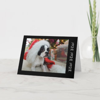 Ho! Ho! ho! メリークリスマスLola B.ボストン シーズンカード