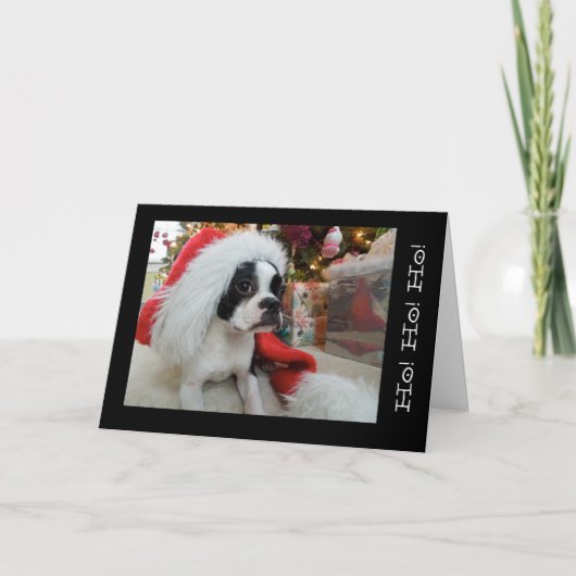 Ho! Ho! ho! メリークリスマスLola B.ボストン シーズンカード (正面)