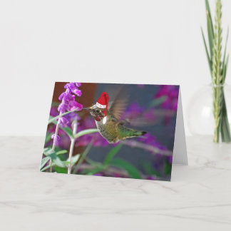 Ho Ho Ho Hummingbird シーズンカード