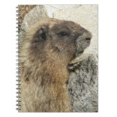 Hoary Marmot Wildlife写真 ノートブック (正面)