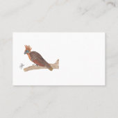 HOATZIN 名刺 (裏面)