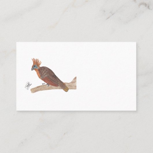 HOATZIN 名刺 (裏面)